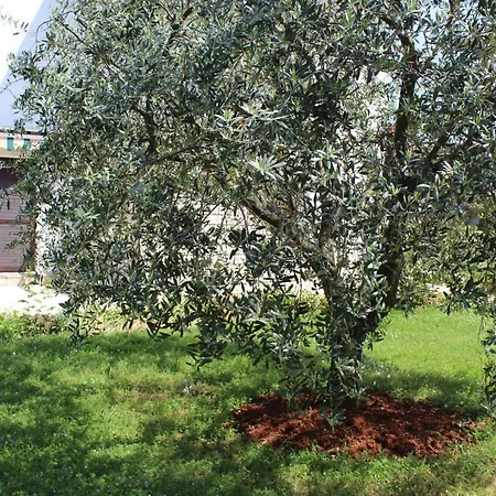 Laura'S Apartment Facing The Garden Porec Exterior photo